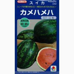 スイカ 種 【 カメハメハ 】
