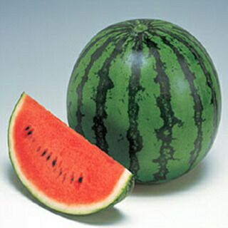 スイカ 種 【 秀山 】