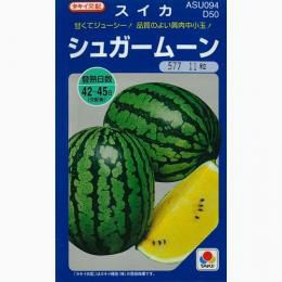 スイカ 種 【 シュガームーン 】