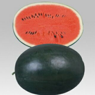 スイカ 種 【 ピロマスタ2 】