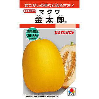 メロン 種 【 金太郎 】