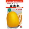 メロン 種 【 金太郎 】