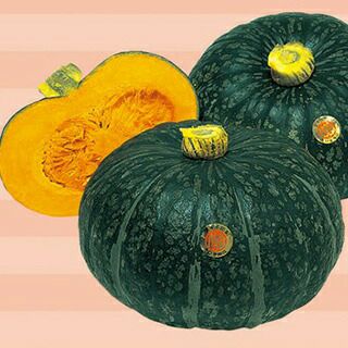 かぼちゃ 種 【えびす】 500粒