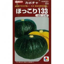 かぼちゃ 種 【ほっこり133】 500粒