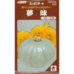 かぼちゃ 種 【夢味】 100粒