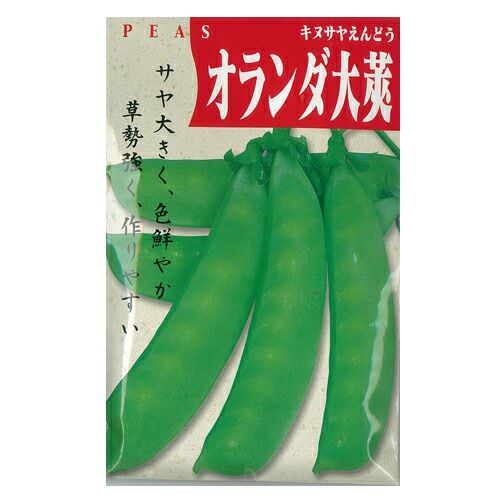 きぬさやエンドウ 種 【つるありオランダ大莢】