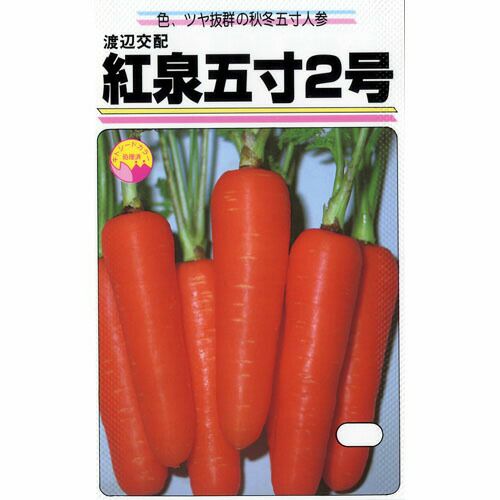 にんじん 種 【 紅泉五寸２号 】 種子