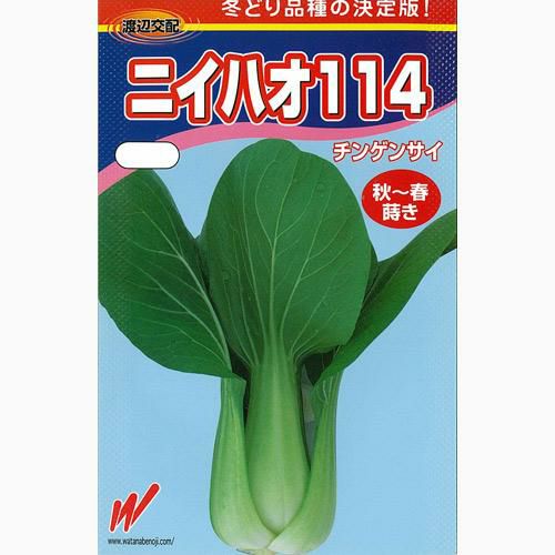 ちんげん菜 種 【 ニイハオ１１４ 】 種子 コート５千粒
