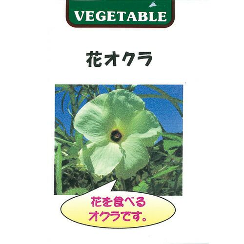 オクラ 種 【 花オクラ 】 種子