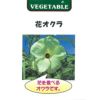 オクラ 種 【 花オクラ 】 種子