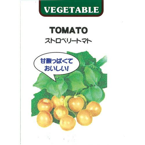 【 食用ほおずき ストロベリートマト（ゴールデンベリー） 】 種子