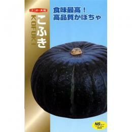 かぼちゃ 種 【こふき】 500粒