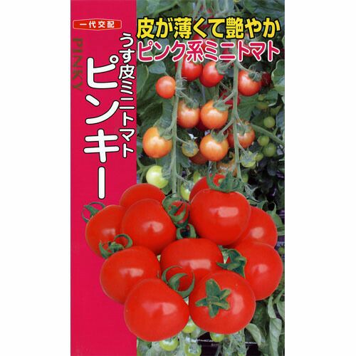 ミニトマト 種 【ピンキー】 500粒
