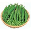 エンドウ 種 【 実えんどう（つるなし） タイニーピース 】 1dl （ 種 野菜 野菜種子 野菜種 ）
