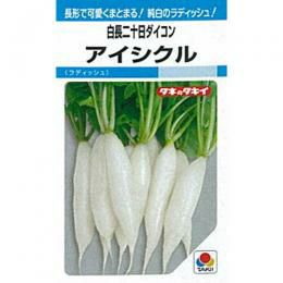 廿日大根 種 【 ホワイトアイシクル 】 種子