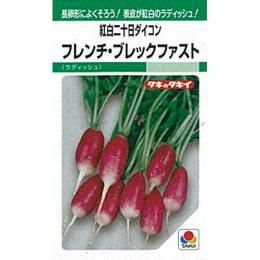 廿日大根 種 【 フレンチ・ブレックファスト 】 種子