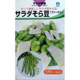 そら豆 種 【 サラダそら豆 】 種子