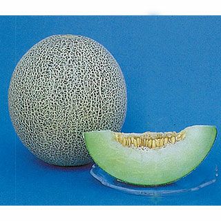 メロン 種 【タカミ】 100粒