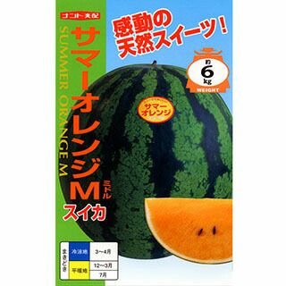 スイカ 種 【 サマーオレンジミドル 】 200粒 ( スイカの種 )