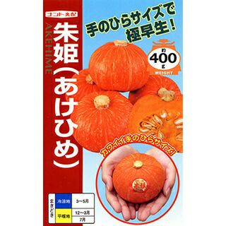 かぼちゃ 種 【朱姫 (あけひめ)】 100粒