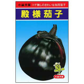 ナス 種 【 殿様 】 小袋（0.5ml） ( ナスの種 )