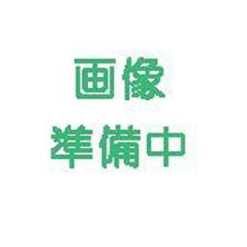 キャベツ 種 【 青龍３４５ 】 種子 コート５０００粒