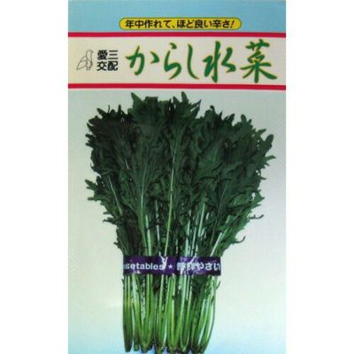 水菜 菜園くらぶ 種と苗と園芸資材の専門店