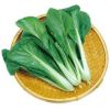 【 ビタミン菜 】 種子