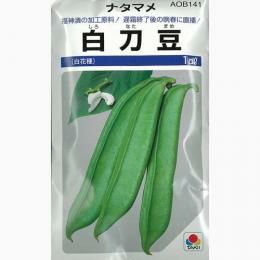 ナタマメ 種 【 白刀豆 】 種子 1L