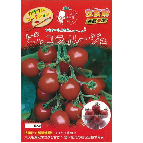 トマト 種 【ピッコラルージュ】 100粒 （ 種 野菜 野菜種子 野菜種 ）