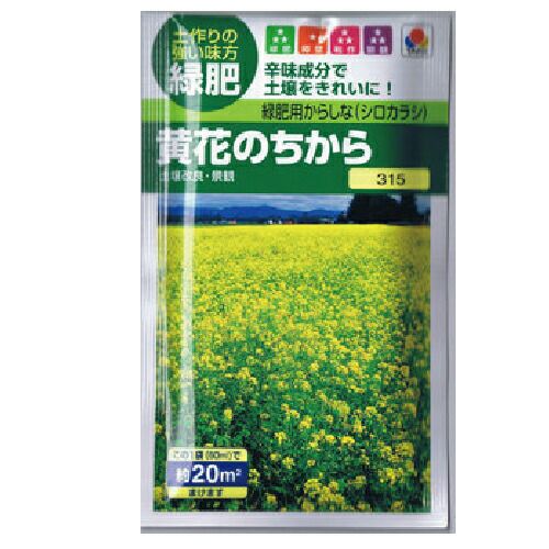 緑肥・牧草 種 【 緑肥用からしな　黄花のちから(からしな) 】 種子