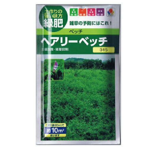 緑肥・牧草 種 【 ヘアリーベッチ 】 種子