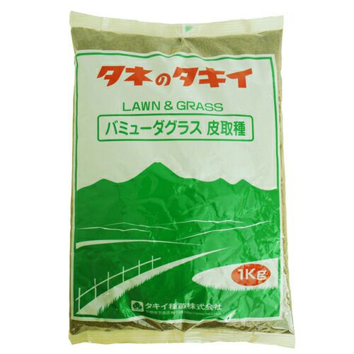 緑肥・牧草 種 【 バミューダグラス 】 種子 1kg