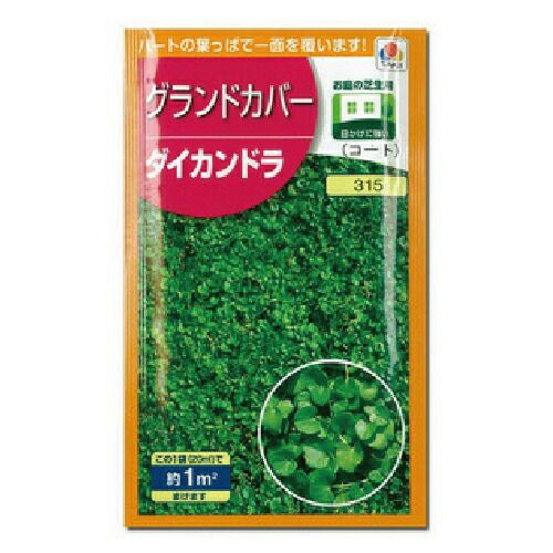 緑肥・牧草 種 【 ダイカンドラ 】 種子
