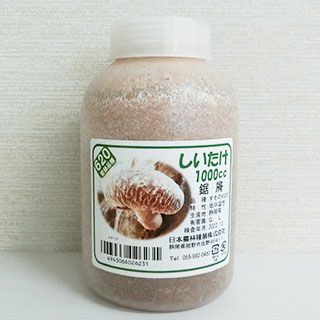 きのこ栽培 【 しいたけ種菌 オガ菌 1000cc 】[ 椎茸 しいたけ シイタケ きのこ キノコ 菌 種 栽培 ]