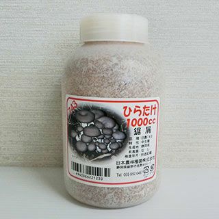 きのこ栽培 【 ひらたけ（しめじ）種菌 オガ菌 1000cc 】[ しめじ シメジ 平茸ひらたけ ヒラタケ きのこ キノコ 菌 種 栽培 ]