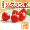 山形県産サクランボ　 L-2L玉　500g×1バラ詰（佐藤錦・紅秀峰・大将錦）