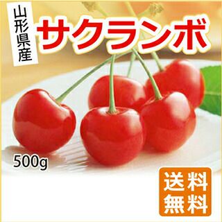 山形県産サクランボ　 L-2L玉　500g×1バラ詰（佐藤錦・紅秀峰・大将錦）