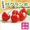 山形県産サクランボ L-2L玉　500g×2バラ詰（佐藤錦・紅秀峰・大将錦）