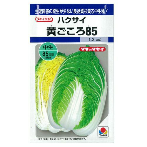 白菜 種 【 黄ごころ85 】