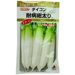 大根 種 【 耐病総太り 】 35ml （ 種 野菜 野菜種子 野菜種 ）