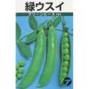 エンドウ 種 【 実エンドウ 緑ウスイ 】 1dl （ 種 野菜 野菜種子 野菜種 ）