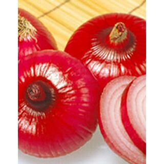 たまねぎ 種 【 湘南レッド 】 1dl