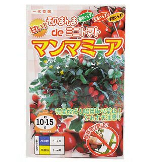 トマト 種 【 そのまんまｄｅミニトマト マンマミーア 】 500粒