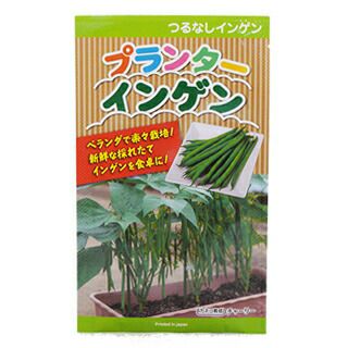 つるなし菜豆 種 【 プランターインゲン 】