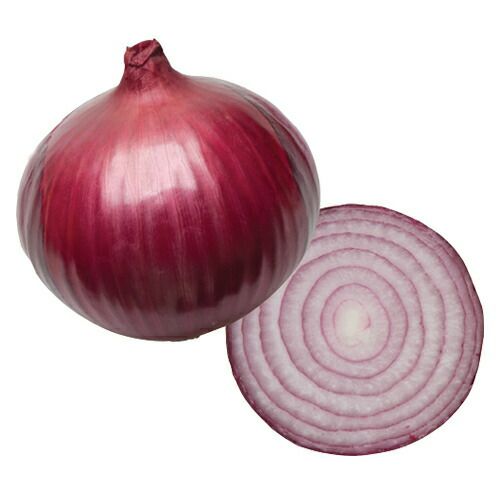 玉ねぎ苗【⭕アリオン2000本⭕赤玉500本⭕】【野菜苗】【玉葱苗 