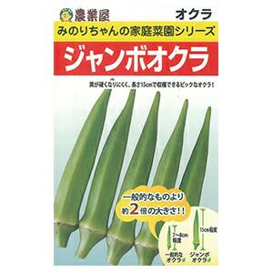 オクラ 種 【 ジャンボオクラ 】 5ml（約50粒） （ 種 野菜 野菜種子 野菜種 ）