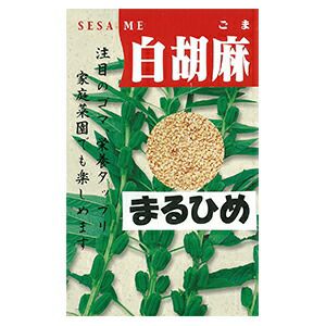 白ごま 種 【 まるひめ 】 20ｍｌ（約5000粒） （ 種 野菜 野菜種子 野菜種 ）