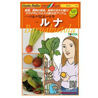 ビート 種 【 バルバビエートラ ルナ 】 80粒 （ 種 野菜 野菜種子 野菜種 ）