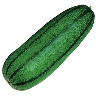 ツケウリ 種 【 青大長縞瓜 】